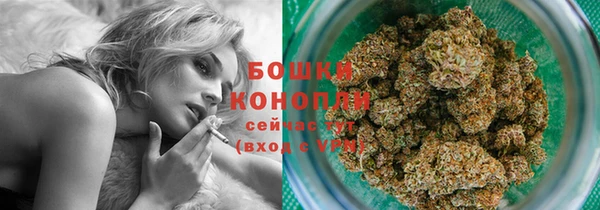 сатива Каменка