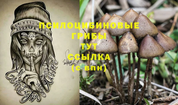 Альфа ПВП Покачи